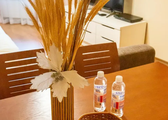 Cozy And Warm With A Separate Bedroom بانسكو